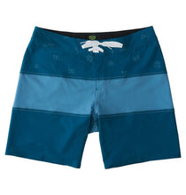 Load image into Gallery viewer, DC Boardshorts Midway 19 Blue