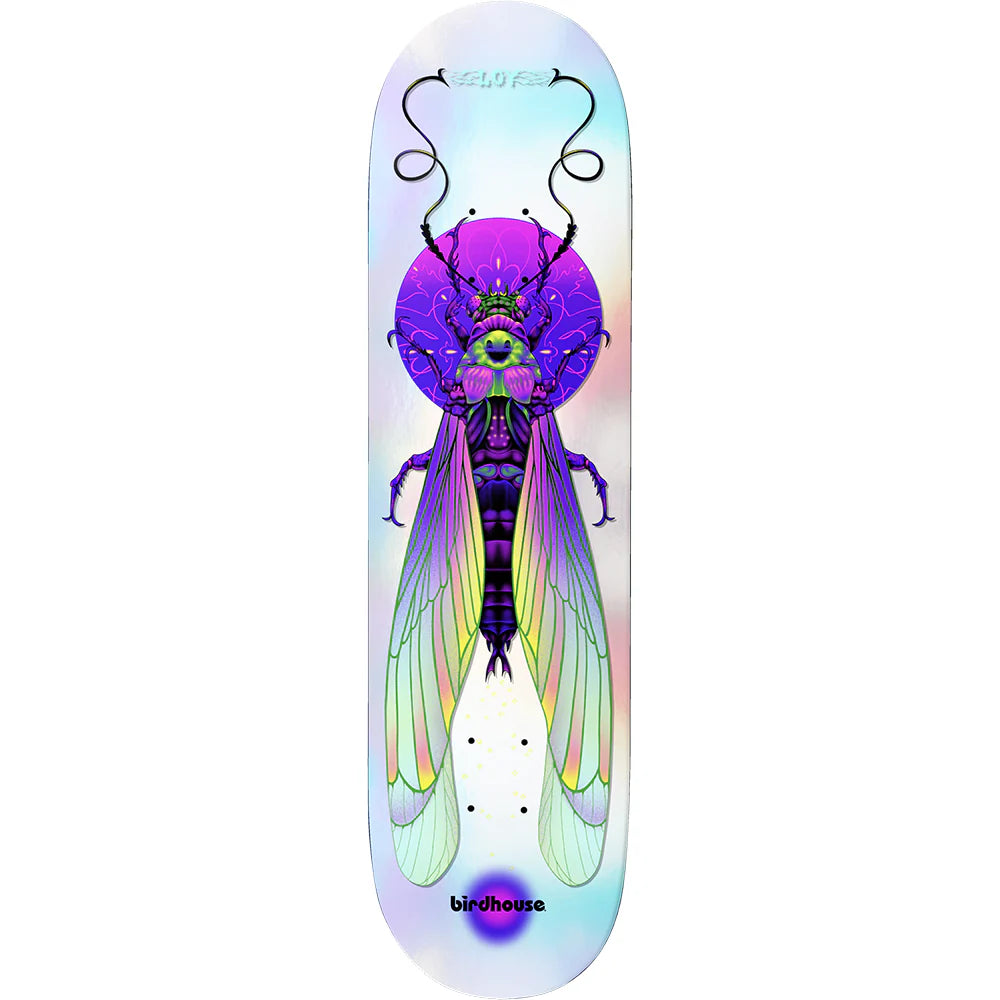 Birdhouse Deck Insects 8.5 David Loy