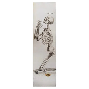 Pvblic Domain Grip Penitent 9"