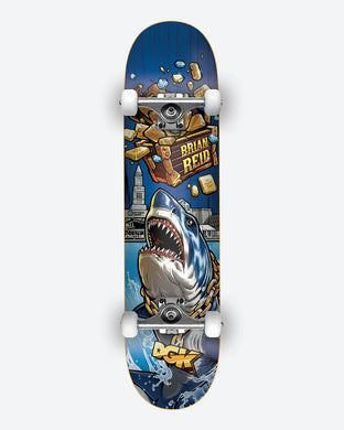 DGK Complete 8.0 Treasures Reid