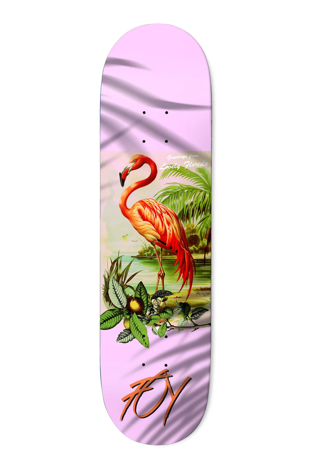 Deathwish Deck 8.0 Flamingo Jamie Foy