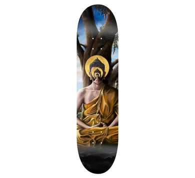 Discovery Regeneration 8.25 Deck