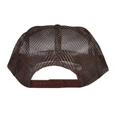 Thrasher Hat Anti Hero Pigeon Mesh Trucker Brown Snapback