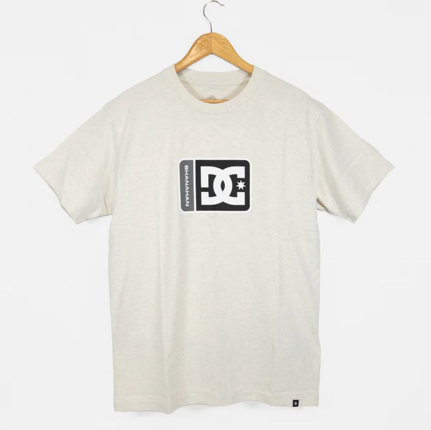 DC Tee Shanahan Tee Ash Gray