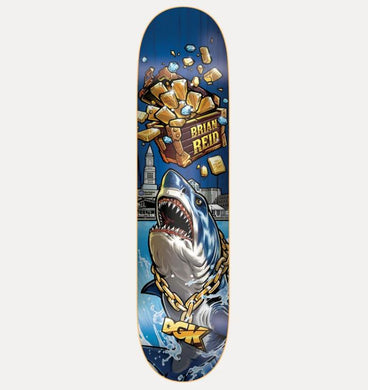 DGK Deck Treasures Reid 8.06