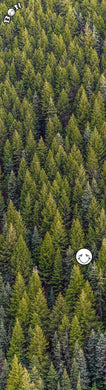 Bon Grip Trees Griptape