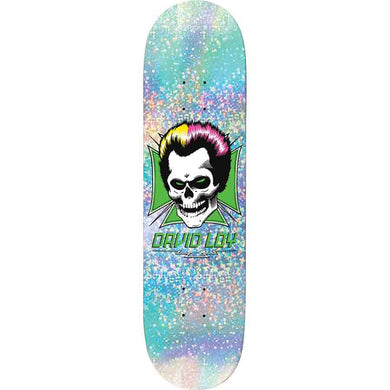 Birdhouse David Loy Skull Prism 8.3