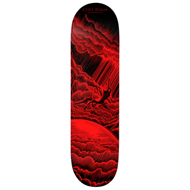 Birdhouse CD Skyfall 8.125