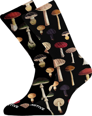 Primitive Socks Ashbury Crew