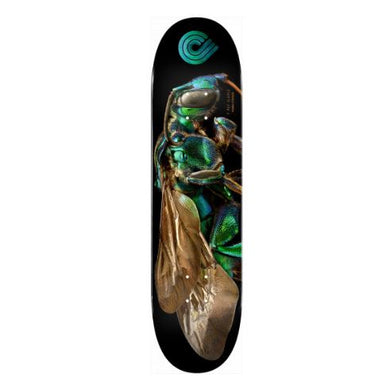 Powell Flight Deck Cuckoo Bee 8.0