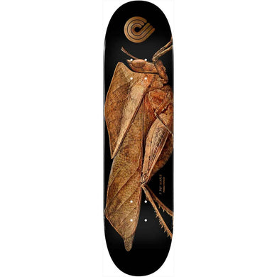 Powell Flight Deck Leaf Grasshopper 8.5
