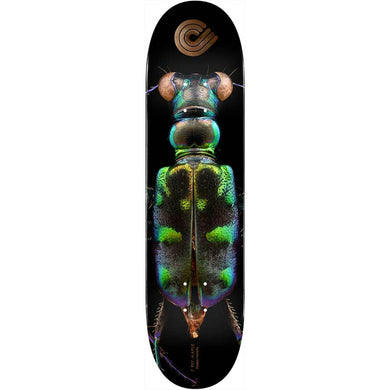 Powell Deck Tiger Beetle 8.25