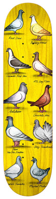 Anti Hero Daan Show Pigeons Skateboard Deck - 8.38