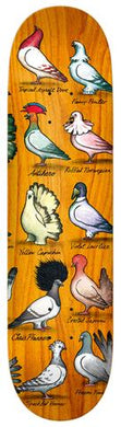 Anti Hero PFanner Show Pigeons Skateboard Deck - 8.06