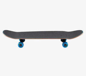 Santa Cruz Complete 9.51 Decoder Hand