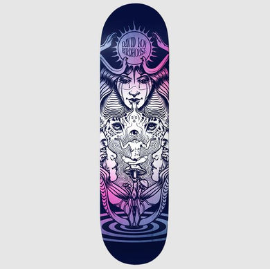 Birdhouse David Loy Self Discovery 8.5