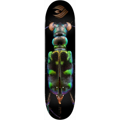 Powell Flight Deck Tiger Beetle 8.25