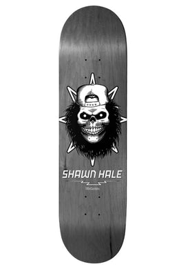 Birdhouse Deck Shawn Hale Skull 8.6