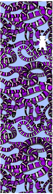Grizzly Grip Snake Eyes Blue/Purple