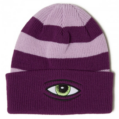 Toy Machine Beanie Sect Eye Stripe Dock Purple